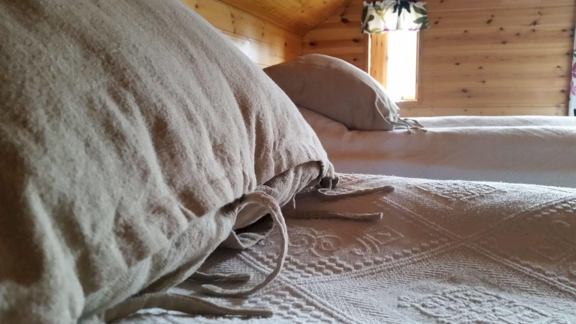 Árból Guesthouse Húsavík Extérieur photo